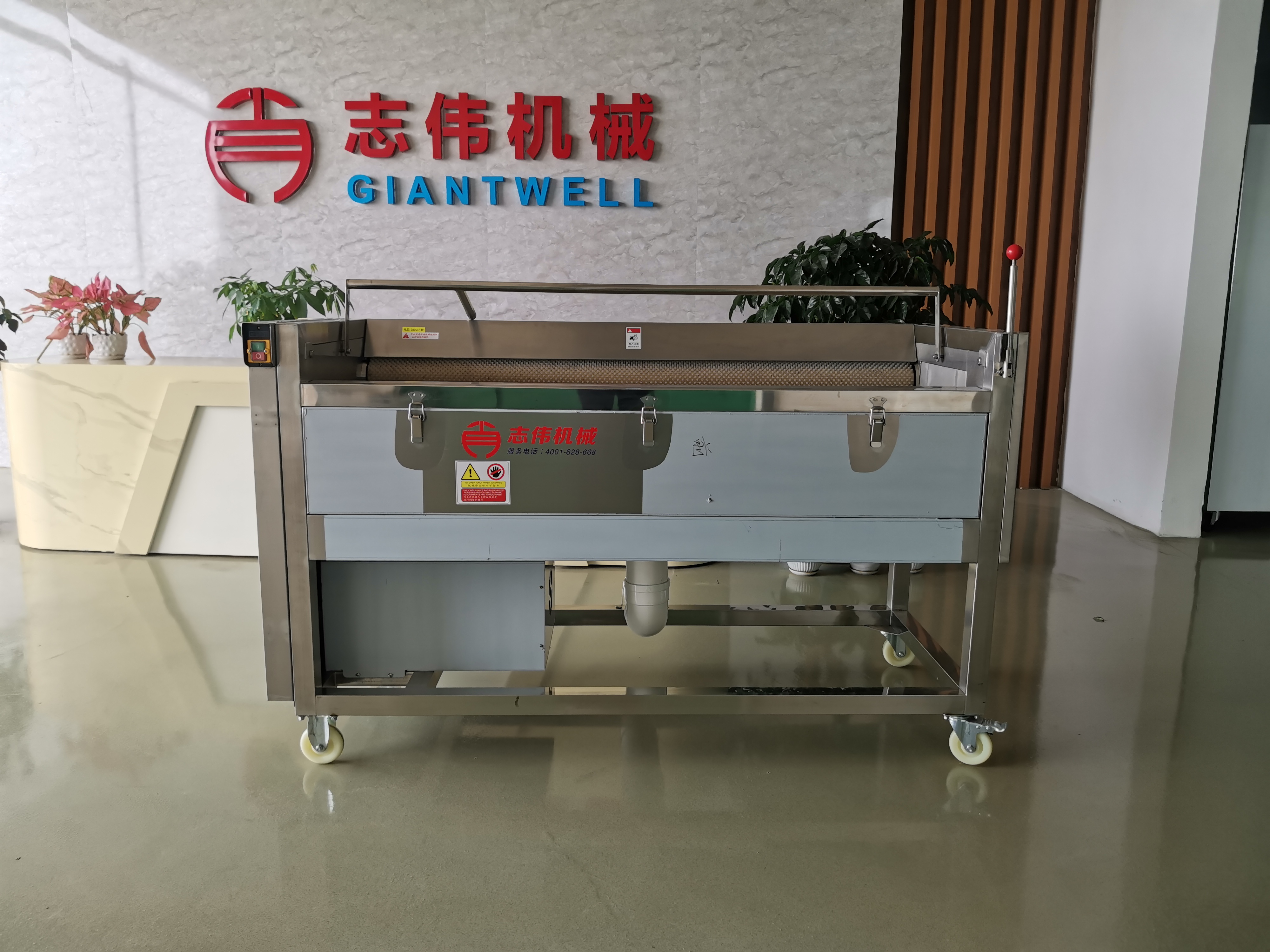 ZW-918清洗去皮機(jī)，土豆去皮機(jī)